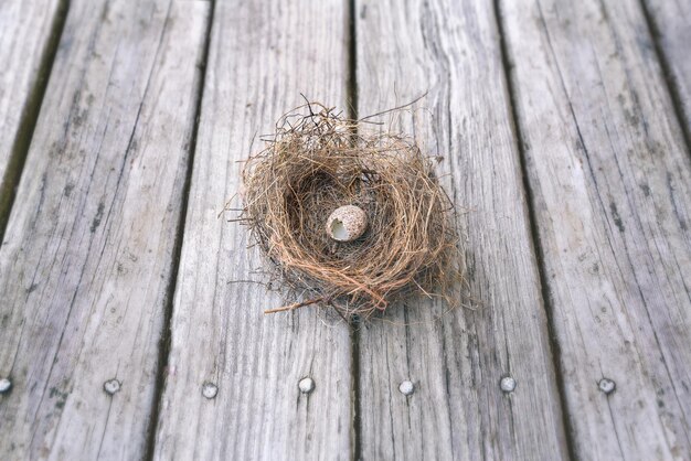 Vue d'angle élevé de l'oiseau sur un poteau en bois