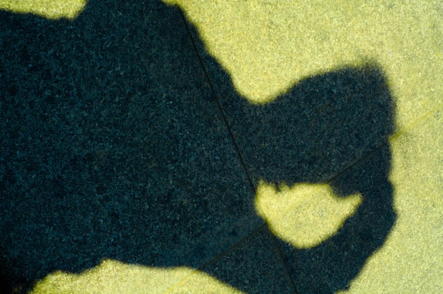 Photo vue d'angle élevé de l'ombre sur le sentier