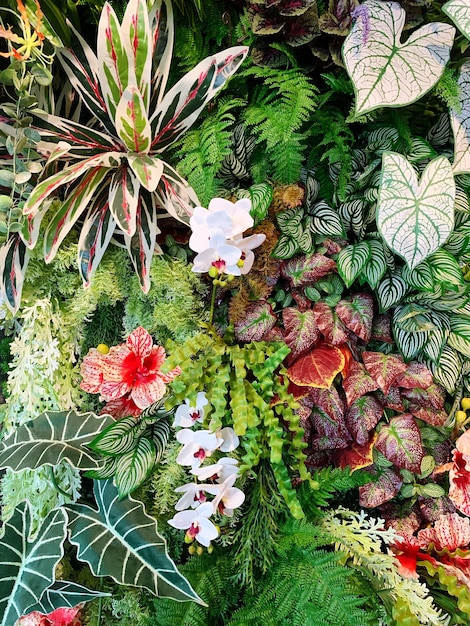 Vue d'angle élevé d'une plante à fleurs