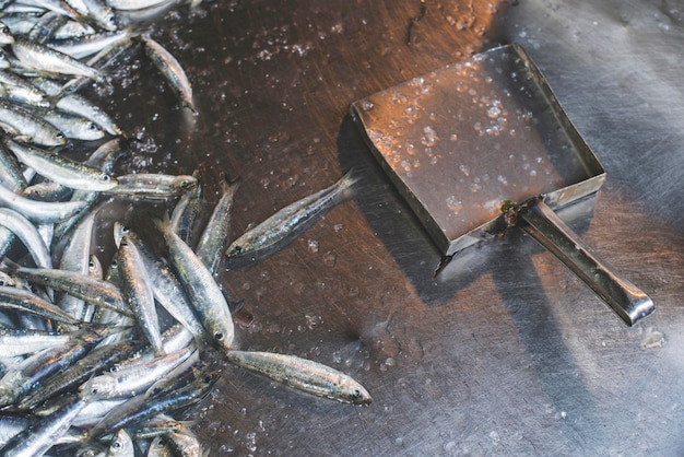 Photo vue d'angle élevé de poissons morts sur le métal