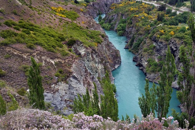 Vue d'angle élevé de la rivière au milieu des arbres dans la forêt.