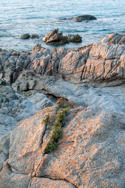 Photo vue d'angle élevé des rochers sur le rivage