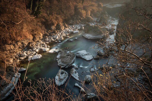 Vue d'angle élevé des roches par la rivière dans la forêt