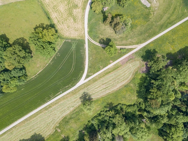 Photo vue d'angle élevé de la route au milieu des arbres dans la forêt