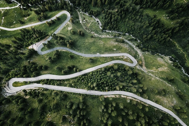 Vue d'angle élevé de la route sinueuse au milieu des arbres dans la forêt