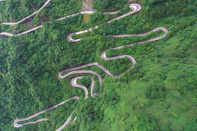 Vue d'angle élevé de la route sinueuse au milieu des arbres dans la forêt