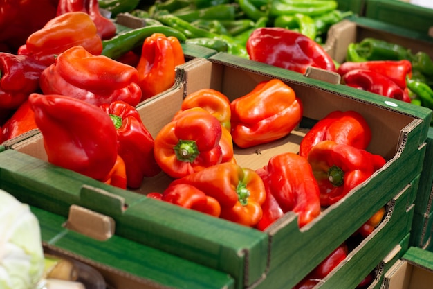 Photo vue d'angle élevé des tomates en caisse sur le marché