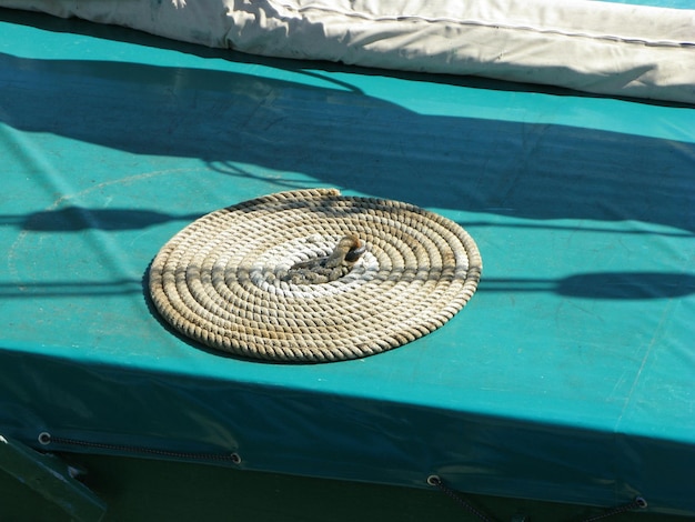 Vue d'angle élevé de la tortue dans la piscine