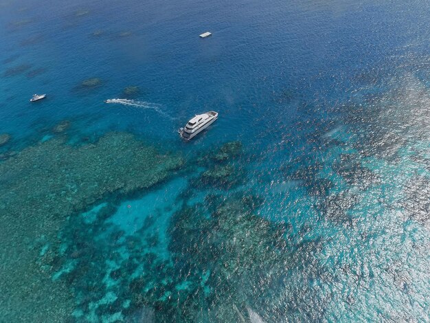 Vue d'angle élevé de la tortue en mer