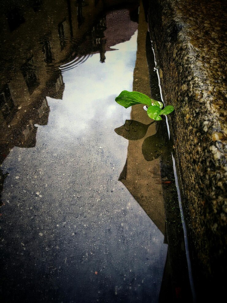 Photo vue d'angle élevé de l'usine dans le trottoir avec la réflexion du bâtiment dans l'eau