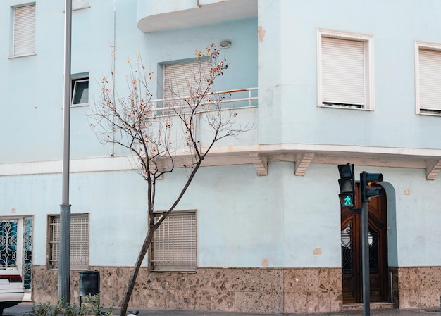 Vue sur un arbre sans feuilles sur le fond d'un immeuble résidentiel bleu