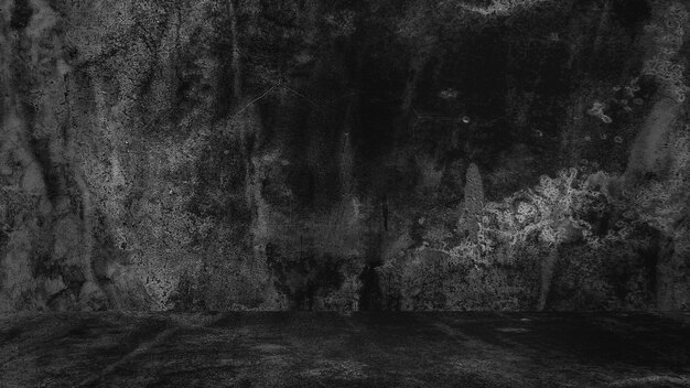 Photo vue des arbres dans la forêt