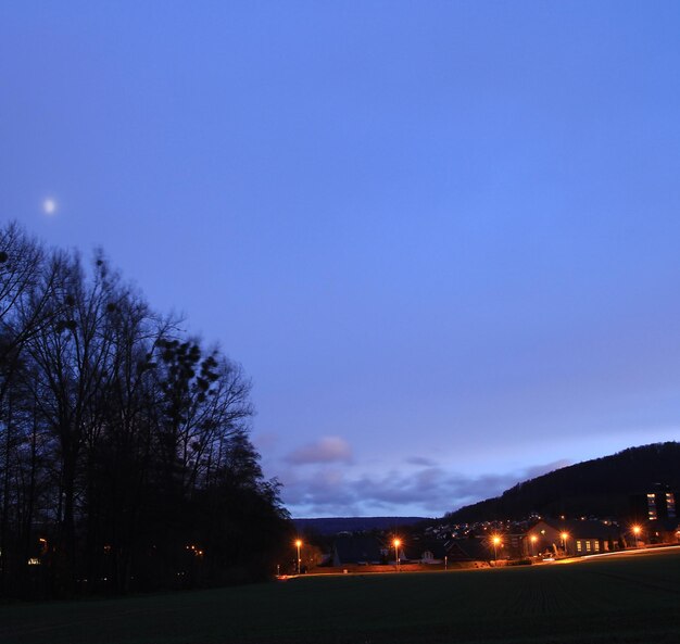 Photo vue des arbres éclairés la nuit