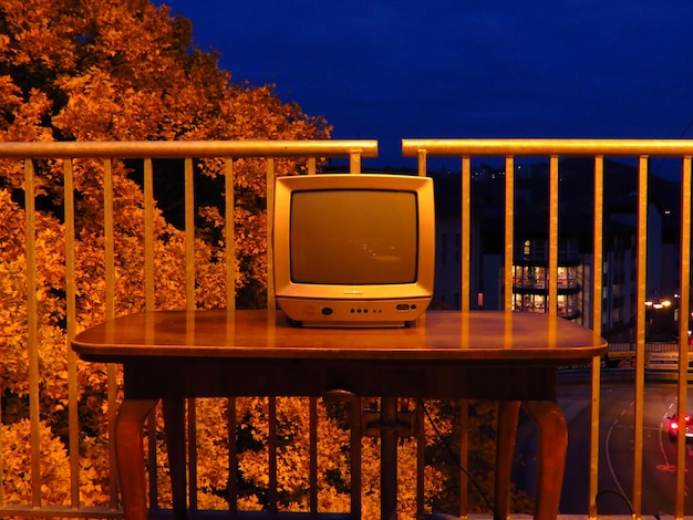 Photo vue des arbres éclairés