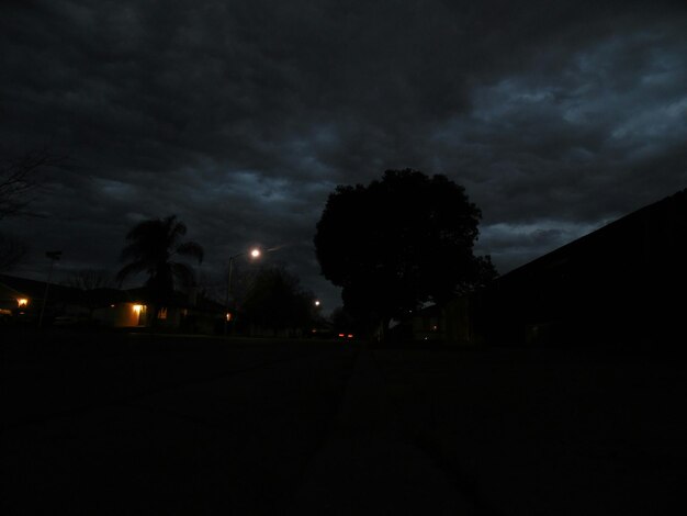 Photo vue des arbres illuminés la nuit