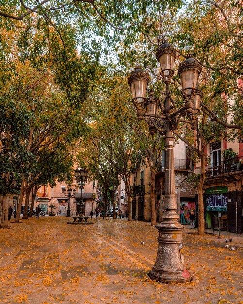 Photo vue des arbres et de la lumière de la rue dans la ville