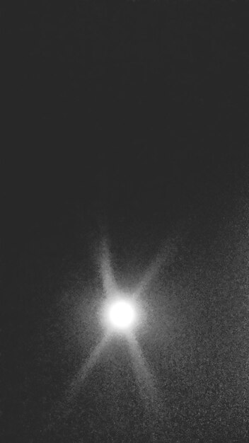 Vue des arbres la nuit