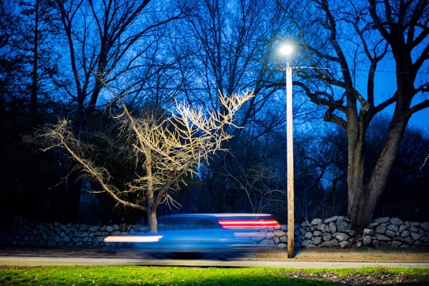 Vue des arbres nus contre le ciel bleu la nuit