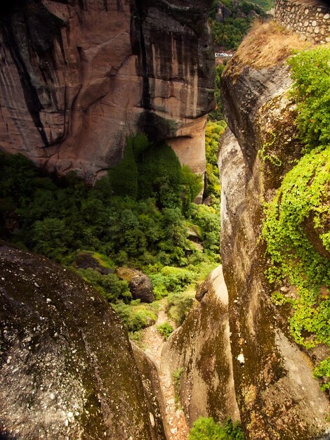 Photo vue des arbres sur le paysage