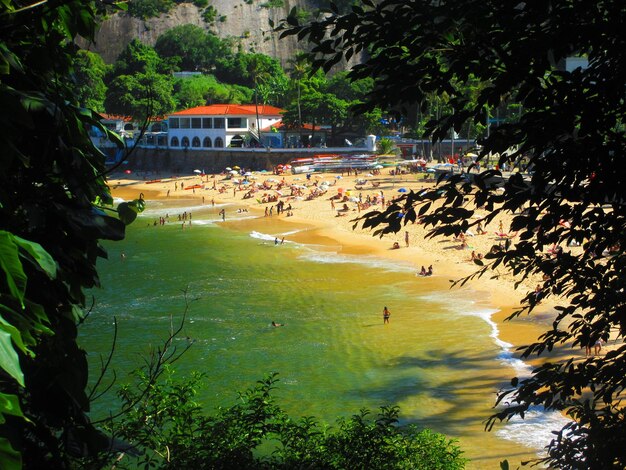 Photo vue des arbres sur la plage