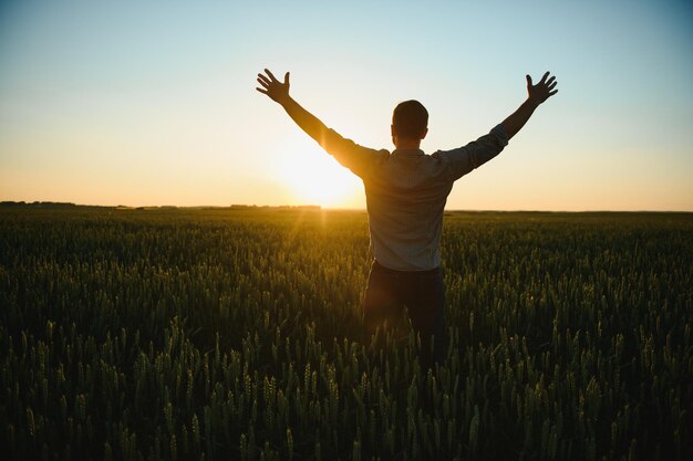 Vue arrière d'un agriculteur adulte debout seul et regardant le coucher ou le lever du soleil dans le ciel Guy debout sur un champ de blé Temps de récolte mûr Le soleil brille dans le ciel