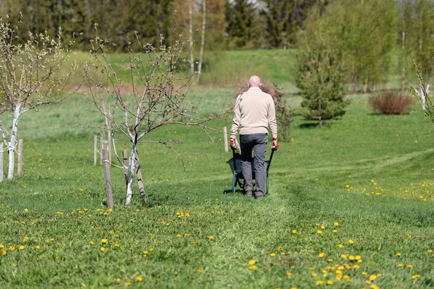 Vue arrière d'un agriculteur senior actif poussant une brouette dans le champ