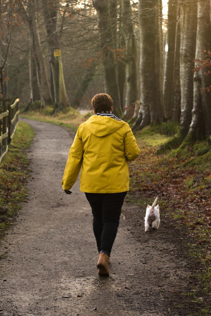 Photo vue arrière complète de la femme avec le chien marchant sur le sentier dans le parc pendant l'hiver