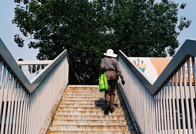 Photo vue arrière complète de l'homme avec le sac à courses marchant sur les marches contre l'arbre