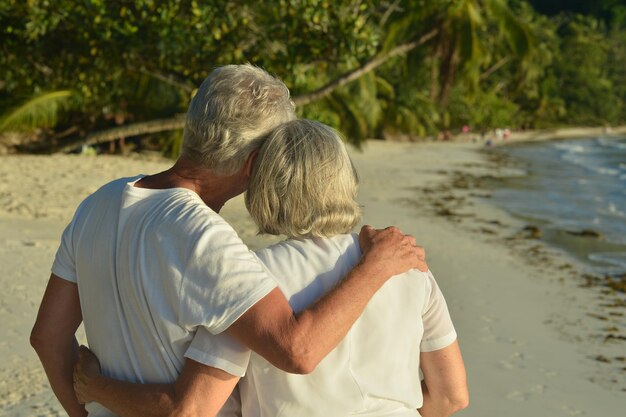 Vue arrière d'un couple de personnes âgées debout sur une plage de sable au coucher du soleil