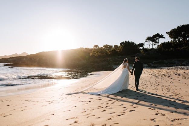 Vue arrière d'un couple se promenant sur la plage au coucher du soleil