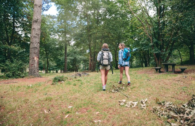 Vue arrière de deux amies avec des sacs à dos marchant dans la forêt