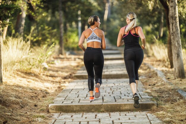 Vue arrière de deux femmes font du jogging dans la forêt de pins et profitent de la journée ensoleillée d'été.