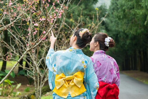 Vue arrière de deux jeunes filles marchant dans la forêt et voyant la jolie fleur de cerisier.