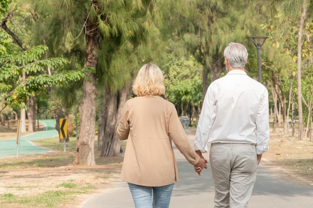 Vue arrière du couple de personnes âgées tenant la main marchant dans le parc