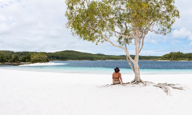 Vue arrière du jeune femme assise sous l'arbre dans une plage de sable blanc dans le lac MckenzieQueenslandAustralie