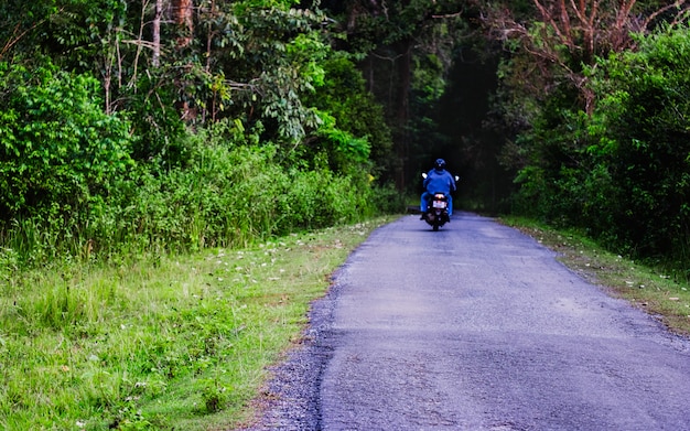 La vue arrière du motard à moto dans la forêt