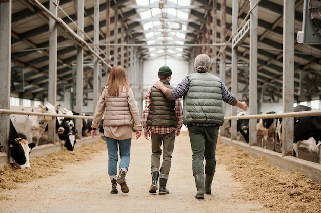 Vue arrière du père montrant les vaches et partageant l'expérience de la ferme avec son fils, toute la famille marchant ensemble le long de l'étable