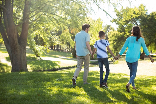 Vue arrière de la famille avec main dans la main, marcher dans le parc