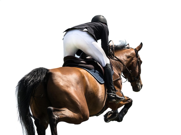 Vue arrière d'une femme à cheval en compétition