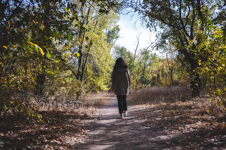 Photo vue arrière d'une femme debout au milieu des arbres dans la forêt