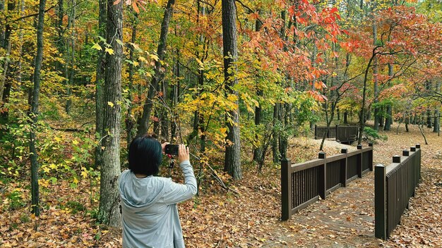 Photo vue arrière d'une femme debout dans la forêt