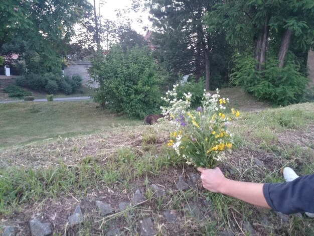 Vue arrière d'une femme debout sur l'herbe