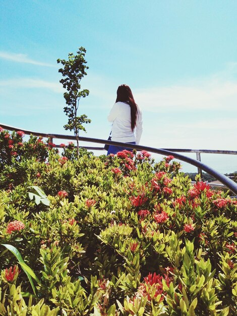 Vue arrière d'une femme debout près de plantes en fleurs contre le ciel