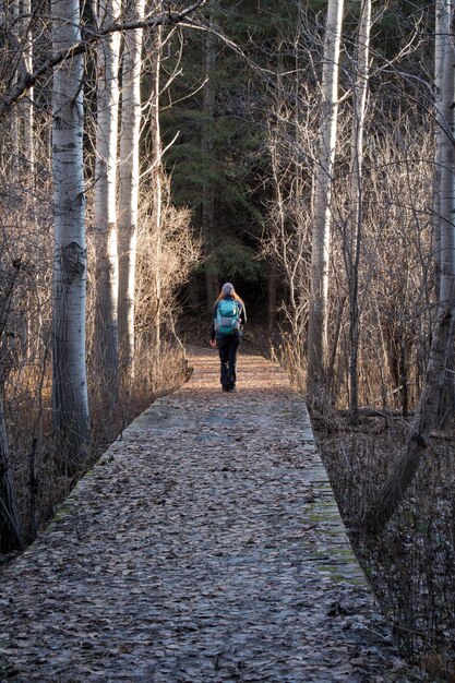 Photo vue arrière d'une femme marchant au milieu des arbres dans la forêt