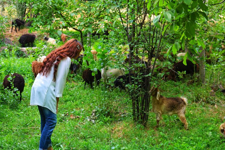 Photo vue arrière d'une femme marchant sur un champ herbeux