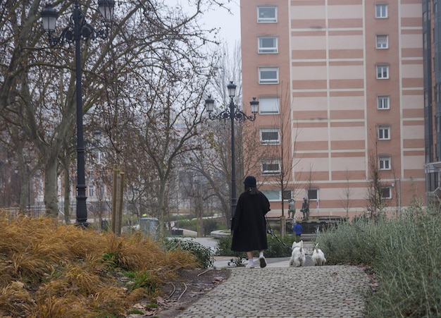 Vue arrière d'une femme marchant avec deux chiens blancs dans la ville