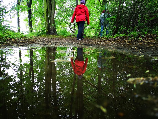 Photo vue arrière d'une femme marchant près d'une flaque d'eau dans la forêt