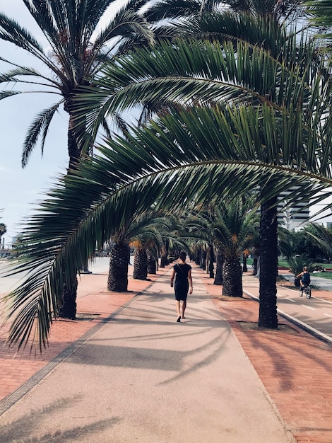 Vue arrière d'une femme marchant sur un sentier au milieu des palmiers