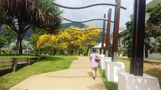 Photo vue arrière d'une femme marchant sur un sentier dans un parc