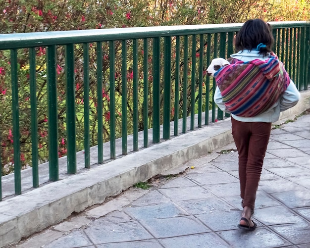 Vue arrière d'une fille marchant avec un chèvre sur un sentier